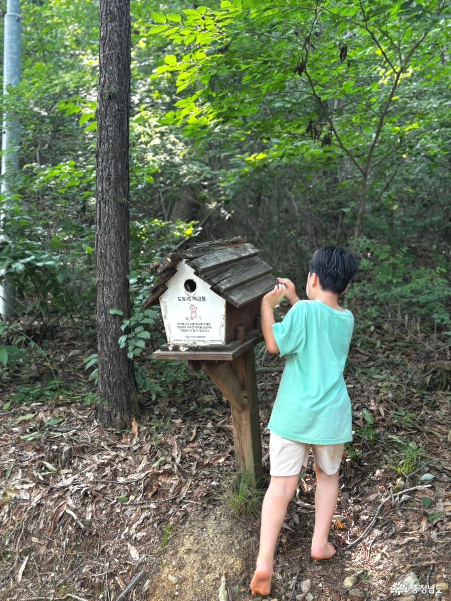 황토길