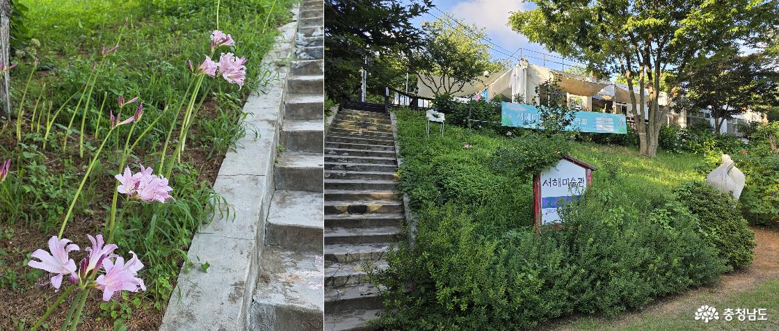 충남 서산 서해미술관 건물로 올라가는 길