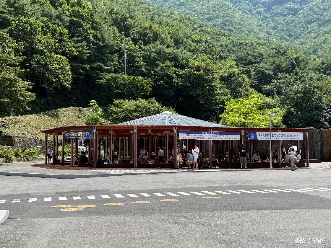 족욕장