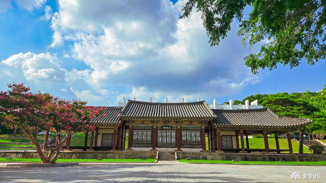 부여에서 만난 여름- 관북리유적의 맥문동과 배롱나무 & 부여 왕릉원 