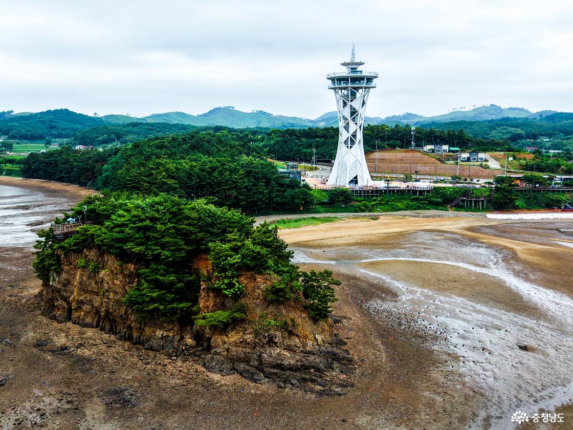 썰물에 드러난 갯벌 위로 해송이 빽빽한 붉은 절벽 섬이 솟아 있고, 그 뒤로 흰색 격자 구조의 홍성 스카이타워가 웅장하게 서 있다.