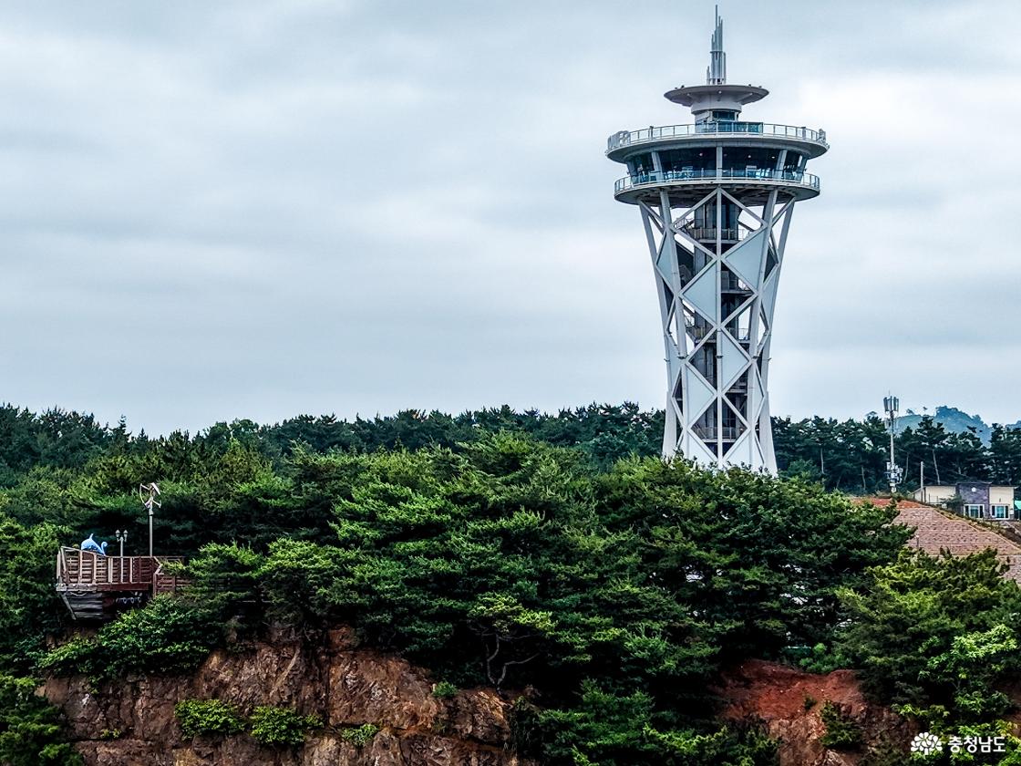 붉은 절벽 위에 해송림이 빽빽하게 우거진 가운데, 좌측 하단에 속동전망대가 보이고 우측 상단으로 홍성 스카이타워가 솟아 있다.
