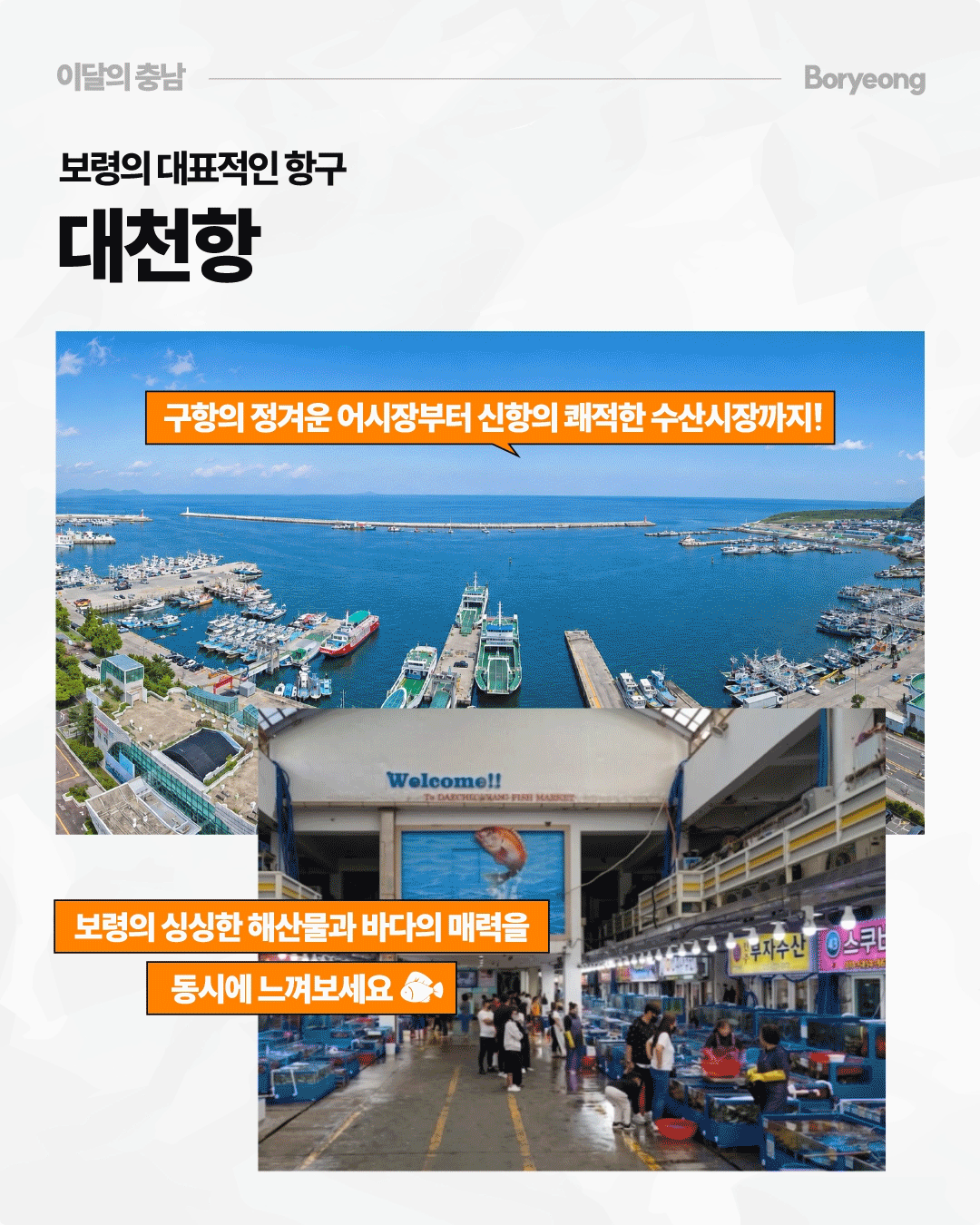 &lsquo;보령의 대표적인 항구 대천항&rsquo;이라는 제목과 함께 파란 바다를 둘러싼 항구 전경, 정박한 어선과 여객선이 가득한 모습을 넓게 보여줍니다. 아래에는 수조와 수산물 판매점이 이어진 시장 내부 사진을 배치하고, &lsquo;구항의 정겨운 어시장부터 신항의 쾌적한 수산시장까지&rsquo;, &lsquo;보령의 싱싱한 해산물과 바다의 매력을 동시에 느껴보세요&rsquo;라고 안내합니다.