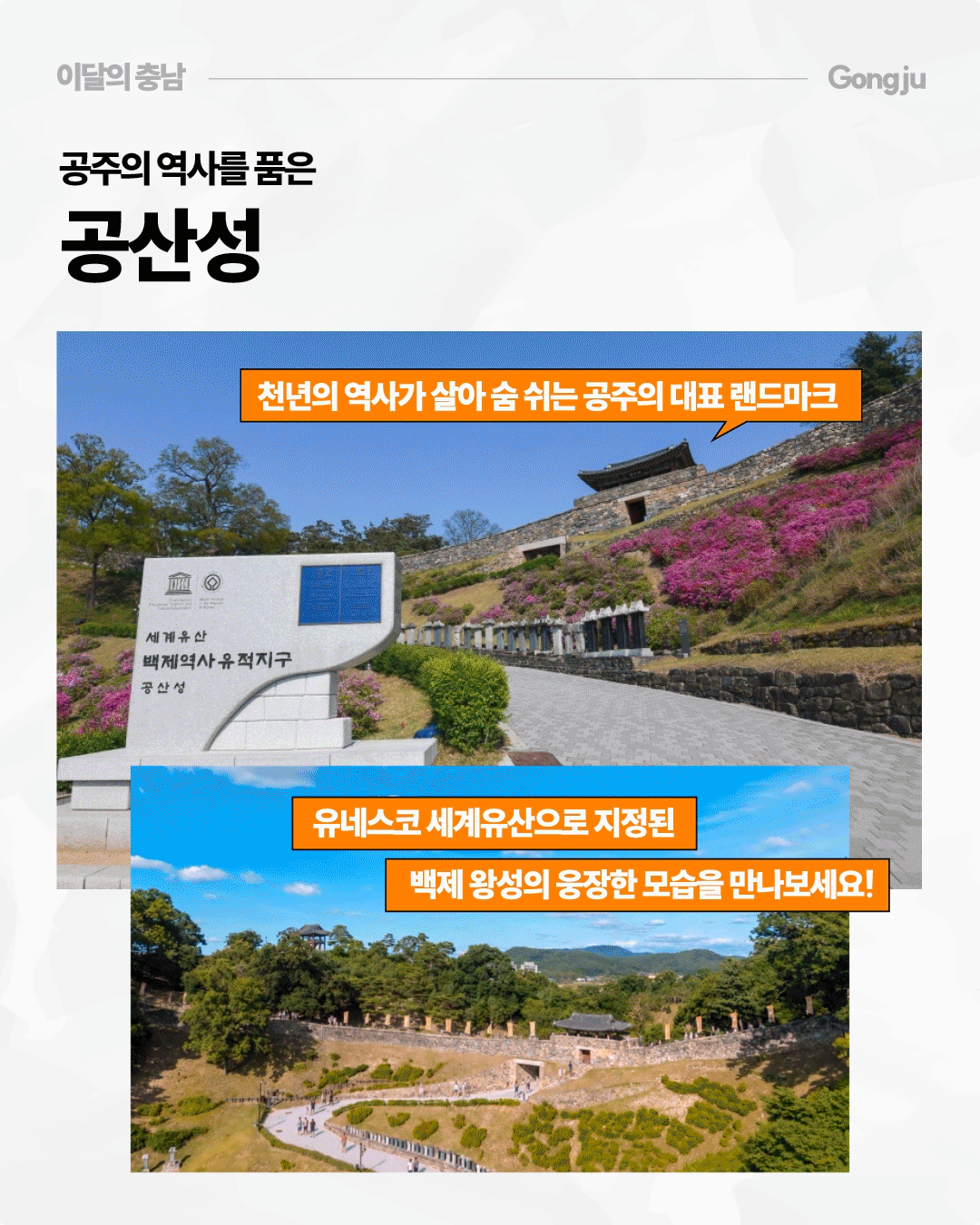 &lsquo;공주의 역사를 품은 공산성&rsquo;이라는 제목 아래 세계유산 백제역사유적지구 공산성 표지석과 성곽, 분홍색 꽃이 핀 언덕의 모습을 담았습니다. 아래에는 성벽과 성문, 산책로가 한눈에 보이는 전경을 배치하고 &lsquo;천년의 역사가 살아 숨 쉬는 공주의 대표 랜드마크&rsquo;, &lsquo;유네스코 세계유산으로 지정된 백제 왕성의 웅장한 모습을 만나보세요&rsquo;라고 안내합니다.