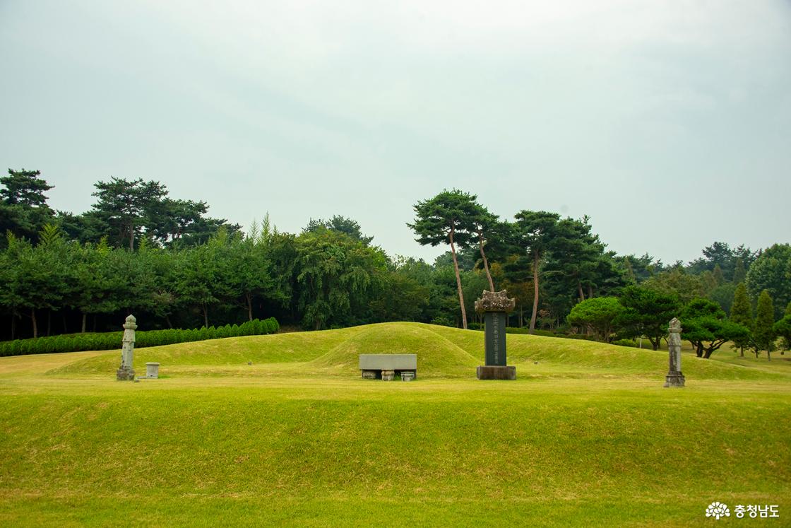 추사 김정희 묘