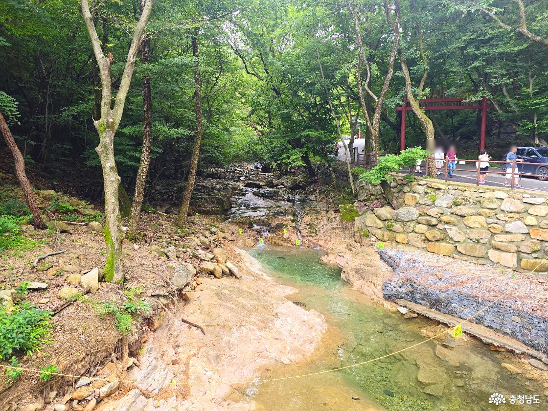 울창한 숲 사이로 맑은 계곡물이 흐르는 계룡산국립공원 동학사 방향 계곡 풍경