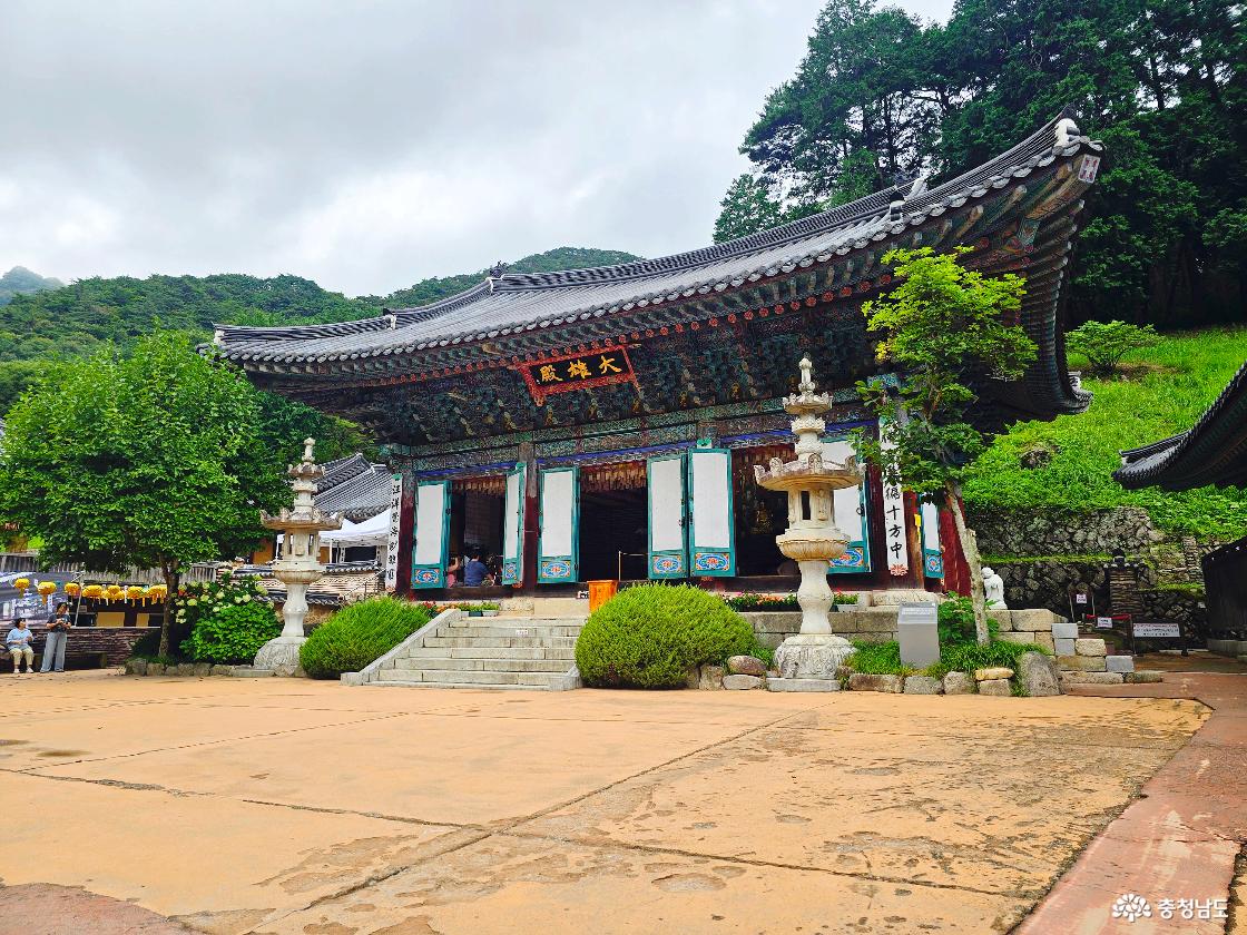 계룡산 동학사 경내에서 바라본 대웅전과 푸른 산이 어우러진 여름 풍경