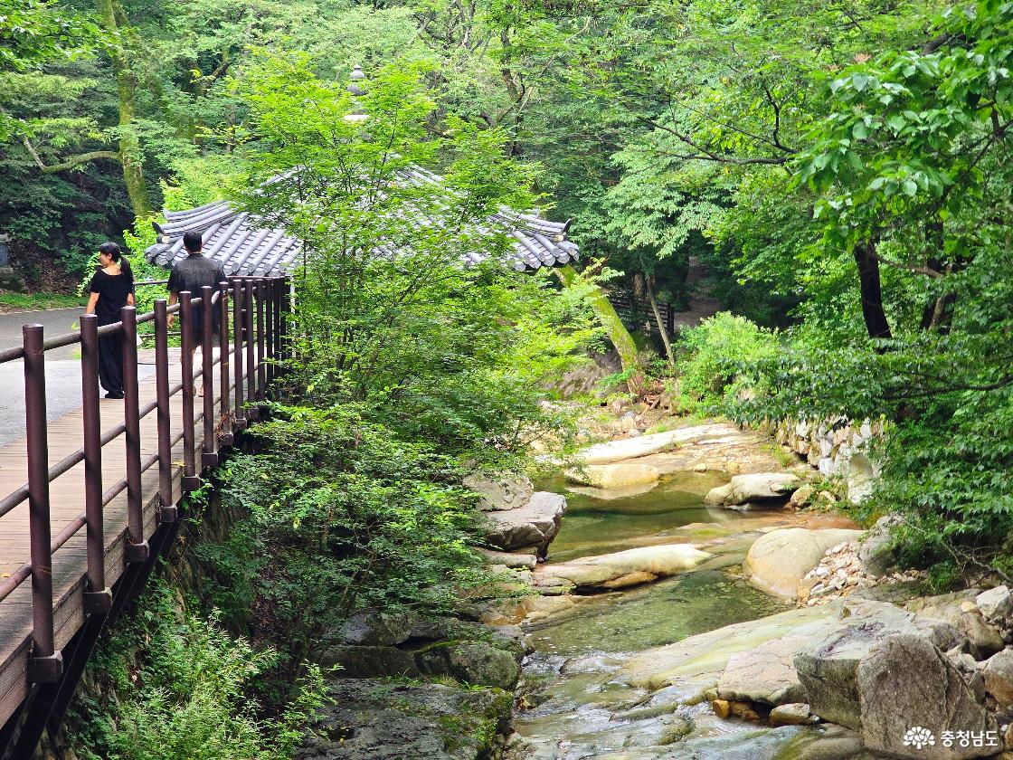 동학사 탐방로 옆으로 맑은 계곡물이 흐르는 계룡산국립공원 여름 산책길