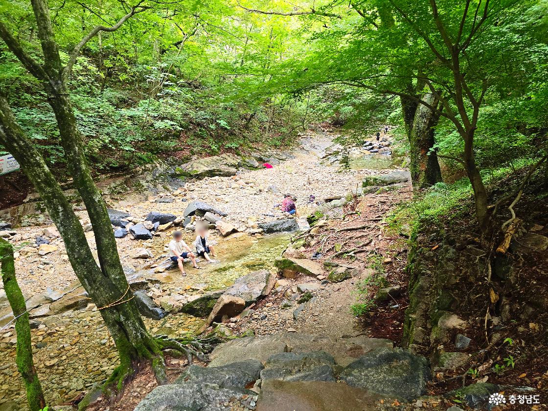 울창한 나무 그늘 아래 계곡물에 발을 담그며 쉬어가는 동학사 계곡 풍경