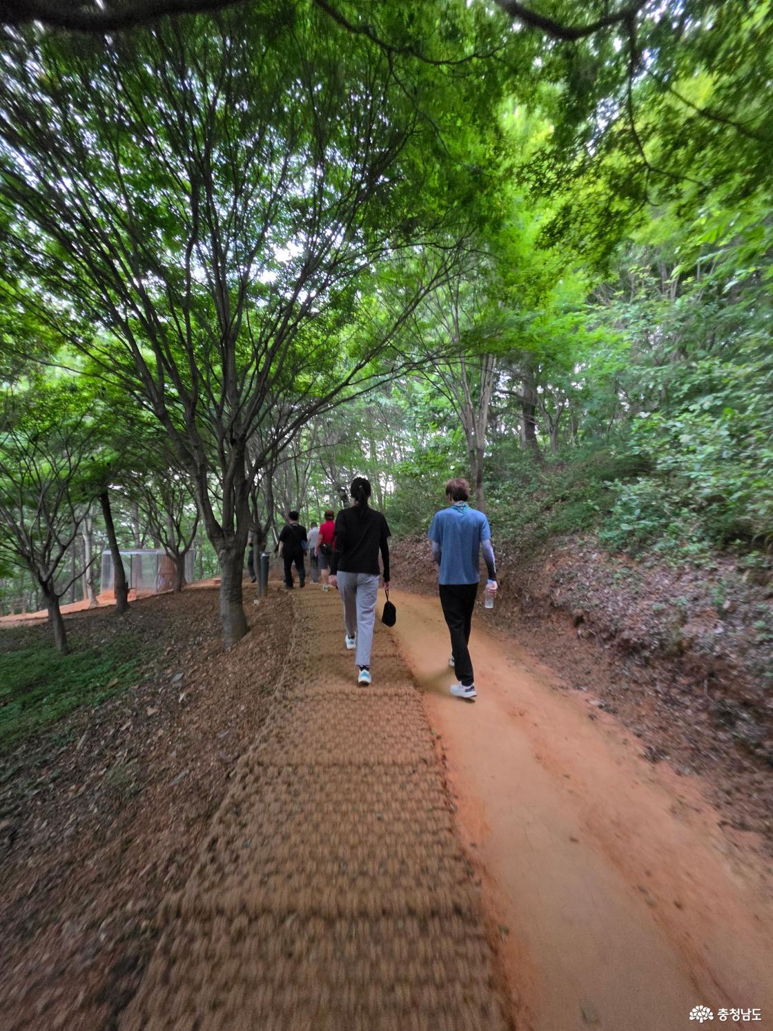 지난 13일 저녁 부춘산 산책로를 걷고 있는 일행들. 부춘산은 서산 시민들이 산책과 운동을 위해 즐겨 찾는 공간이다.