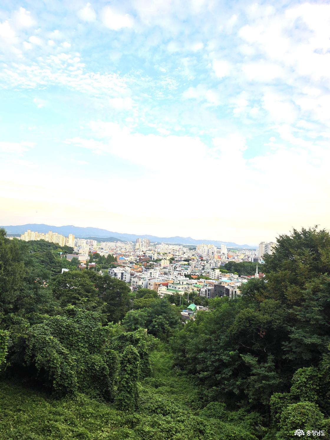 부춘산에서 바라본 서산 도심. 시민들이 일상적으로 찾는 도심 속 산이지만 곳곳에 다양한 역사와 이야기가 남아 있다.