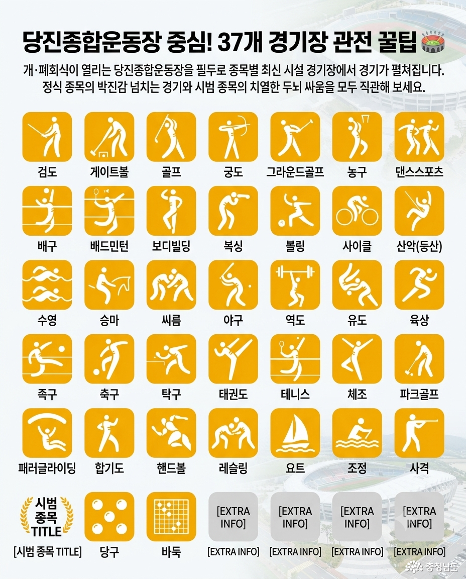 충남도민체육대회