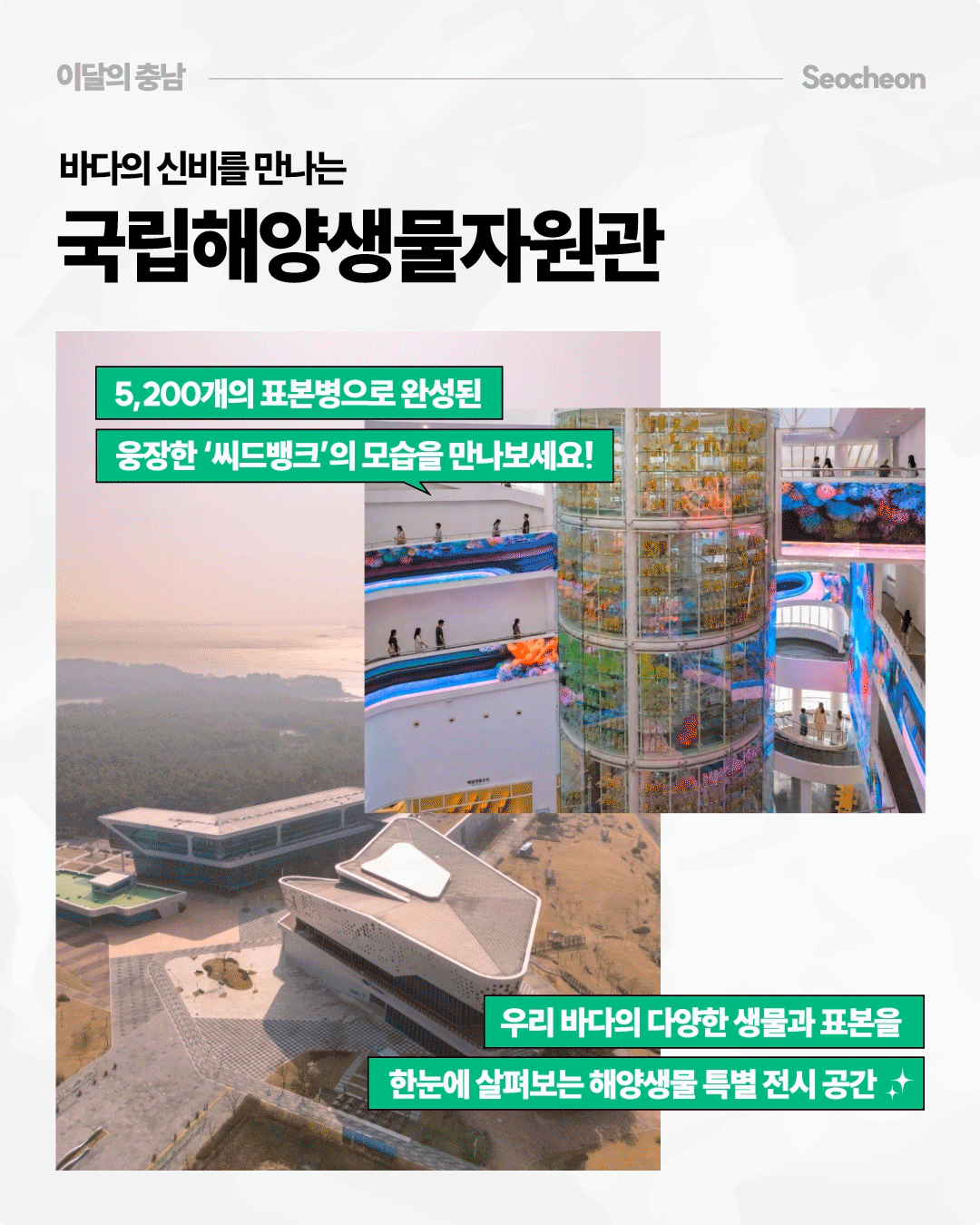 &lsquo;바다의 신비를 만나는 국립해양생물자원관&rsquo;이라는 제목 아래, 현대적인 국립해양생물자원관 건물의 항공 사진과 내부 전시공간 사진이 함께 배치되어 있습니다. 내부에는 여러 층을 관통하는 대형 원통형 전시 구조물과 화려한 해양생물 영상이 보이며, &lsquo;5,200개의 표본병으로 완성된 웅장한 씨드뱅크&rsquo;와 &lsquo;우리 바다의 다양한 생물과 표본을 한눈에 살펴보는 해양생물 특별 전시 공간&rsquo;이라는 설명이 적혀 있습니다.