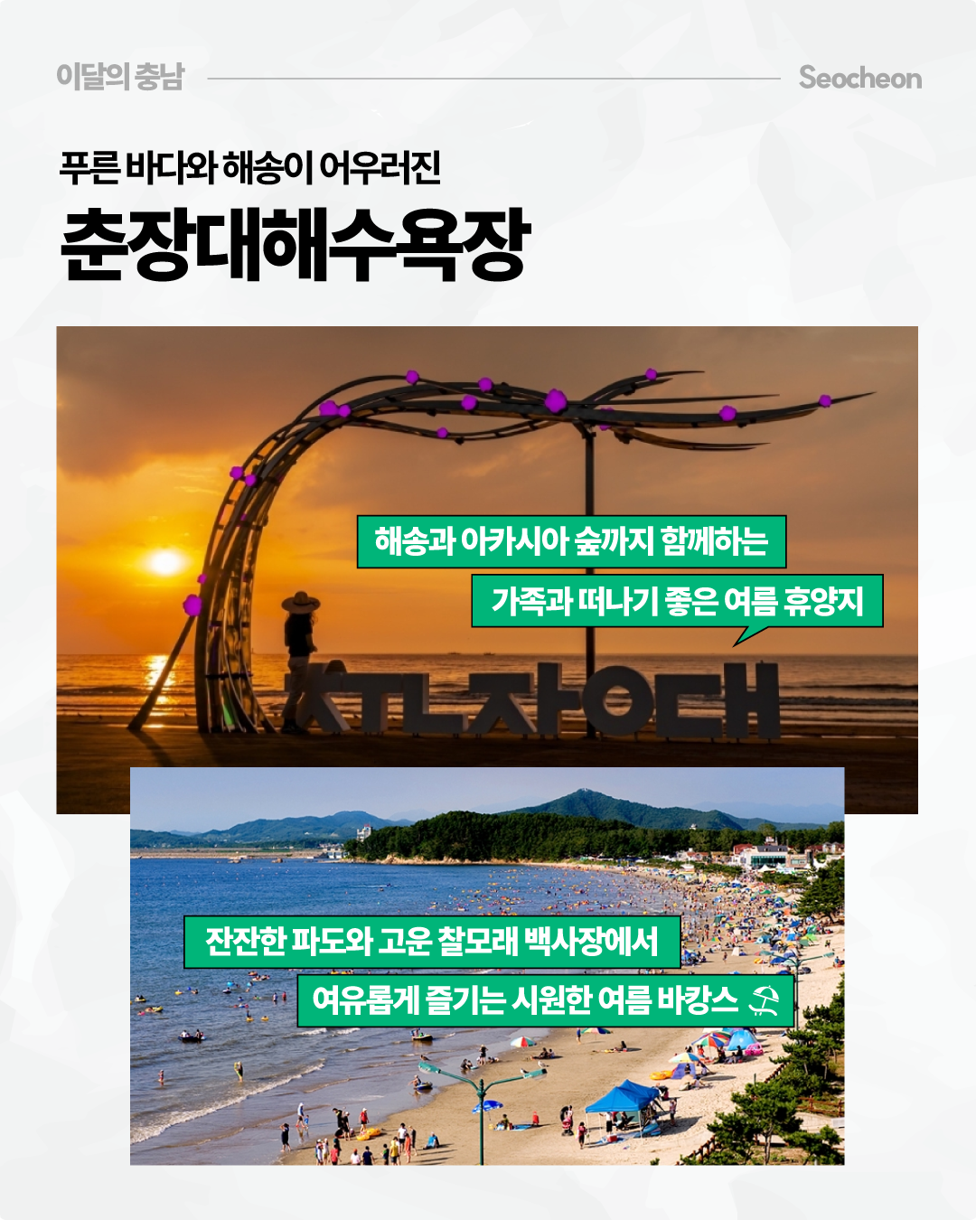 &lsquo;푸른 바다와 해송이 어우러진 춘장대해수욕장&rsquo;이라는 제목 아래, 주황빛 노을이 비치는 바다와 해변 조형물이 있는 풍경, 그리고 넓은 백사장과 잔잔한 바다에서 많은 피서객이 물놀이를 즐기는 모습을 함께 보여줍니다. 해송과 아카시아 숲까지 이어지는 가족 여름휴가지로 소개하며, 잔잔한 파도와 고운 찰모래 백사장에서 여유롭게 즐기는 시원한 여름 바캉스를 강조합니다.