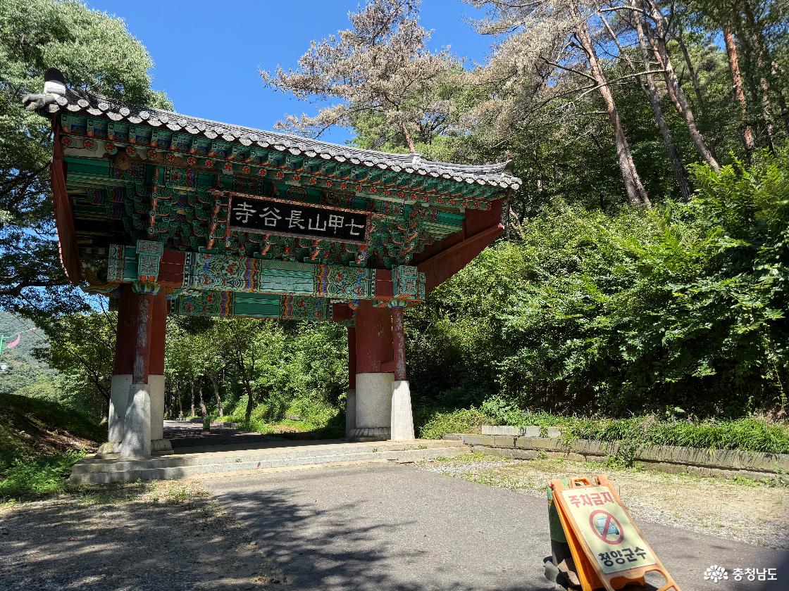 충남 청양 가볼만한 곳 칠갑산 장곡사, 알고 보면 더 특별한 천년고찰