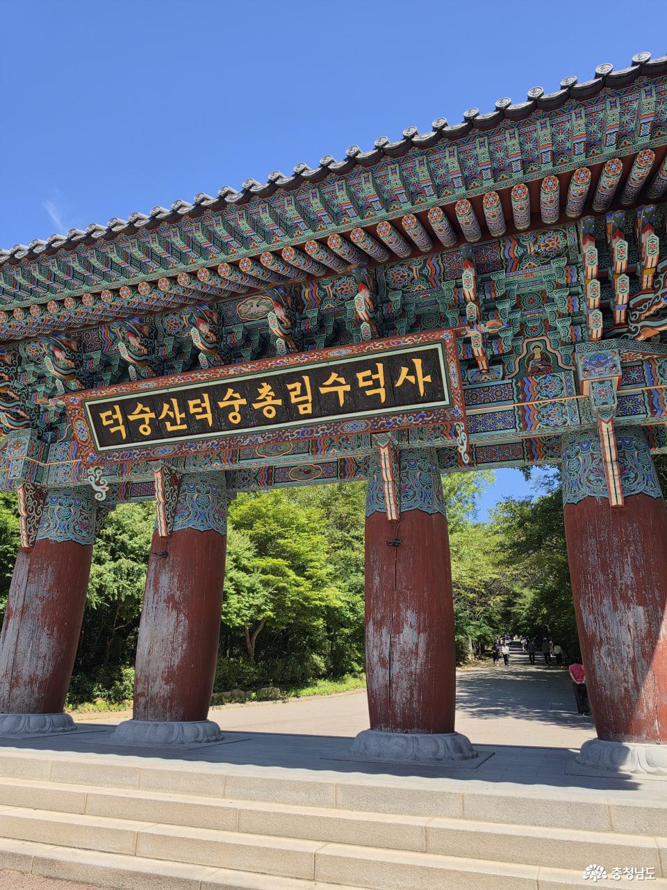 예산 수덕사 : 700년의 시간을 마주하다