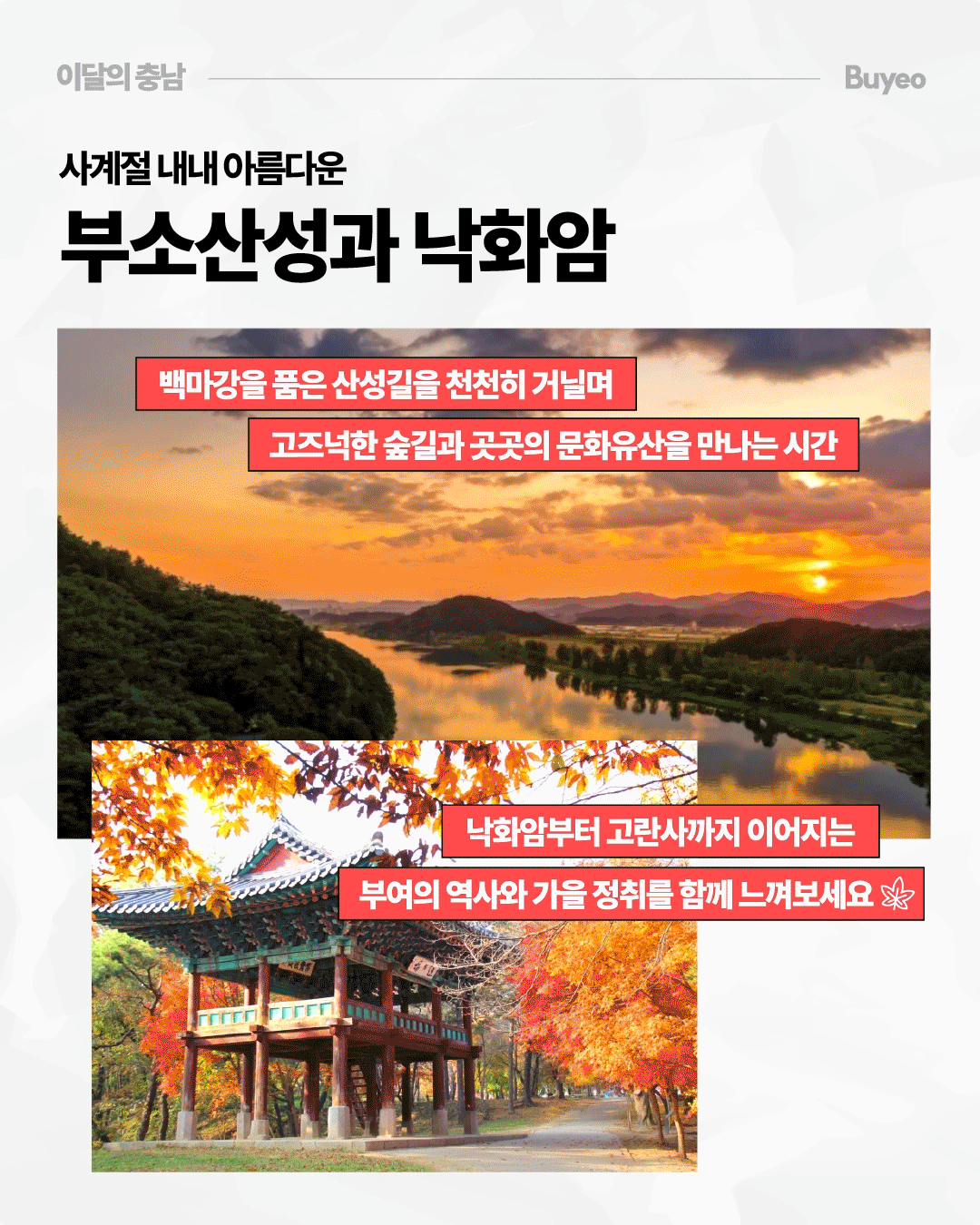 &lsquo;사계절 내내 아름다운 부소산성과 낙화암&rsquo;이라는 제목 아래 백마강과 주변 산세에 붉은 노을이 비치는 전경과, 붉고 주황빛 단풍에 둘러싸인 전통 누각이 배치되어 있습니다. 백마강을 품은 산성길을 천천히 걸으며 고즈넉한 숲길과 문화유산을 만나고, 낙화암부터 고란사까지 이어지는 부여의 역사와 가을 정취를 느껴보라는 내용이 적혀 있습니다.