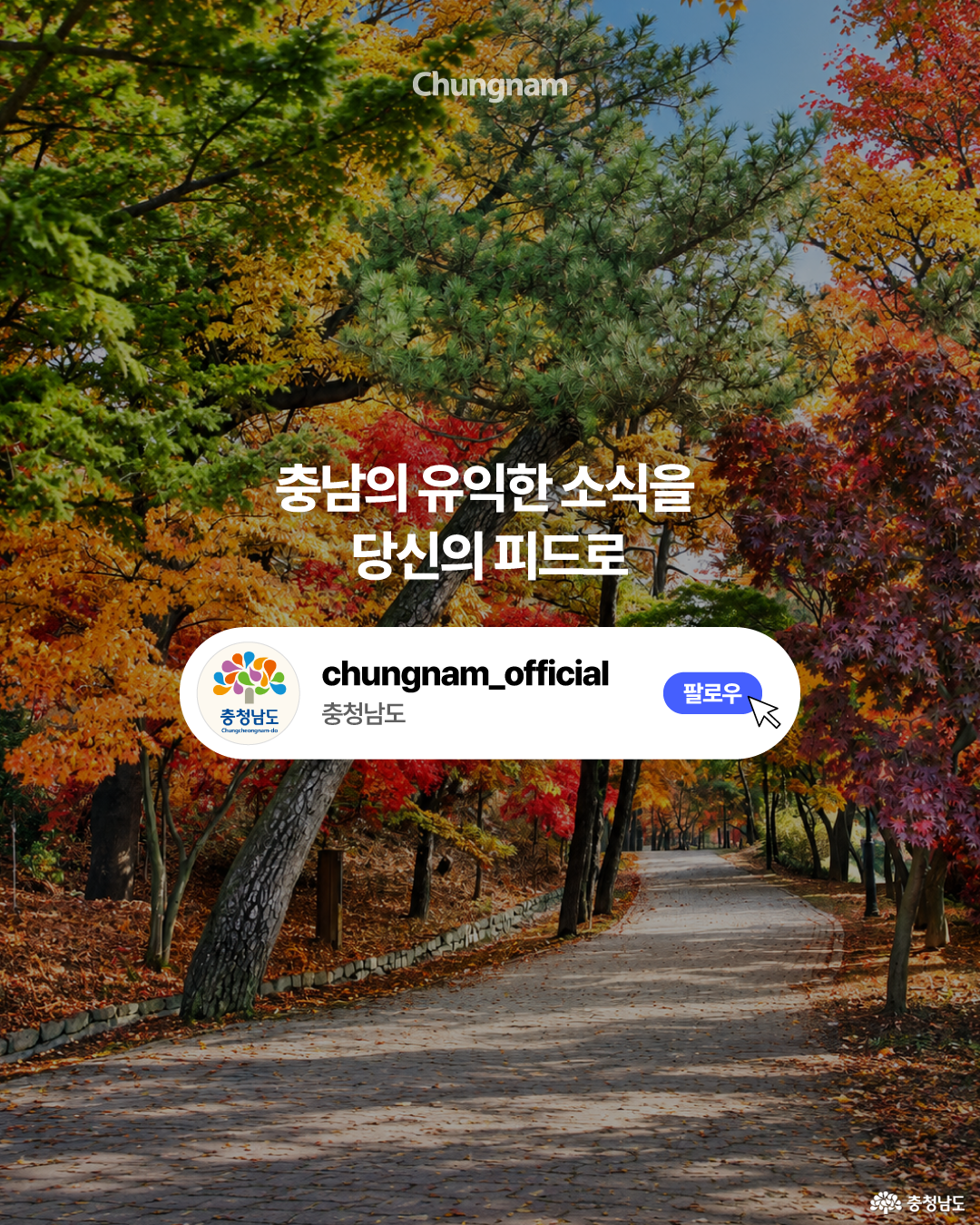 붉은색, 주황색, 노란색으로 단풍이 물든 숲길이 길게 이어지는 가을 풍경을 배경으로 한 충청남도 SNS 팔로우 안내 이미지입니다. 중앙에는 &lsquo;충남의 유익한 소식을 당신의 피드로&rsquo;라는 문구가 있고, 아래 흰색 영역에는 충청남도 로고와 &lsquo;충청남도&rsquo;, 파란색 &lsquo;팔로우&rsquo; 버튼이 배치되어 있습니다.