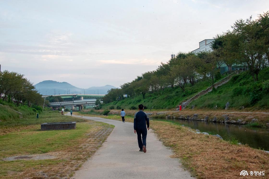 이른 아침 제민천을 걷는 사람들