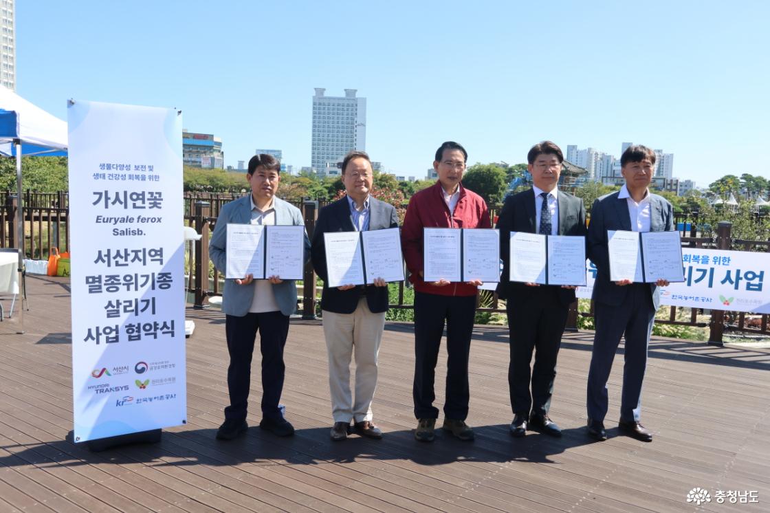 번 협약에 따라 5개 기관은 2029년까지 가시연꽃의 대체서식지 마련과 복원에 협력한다. 태안 천리포수목원은 복원 자문과 인공증식, 식재, 이후 모니터링 등을 맡을 예정이다.