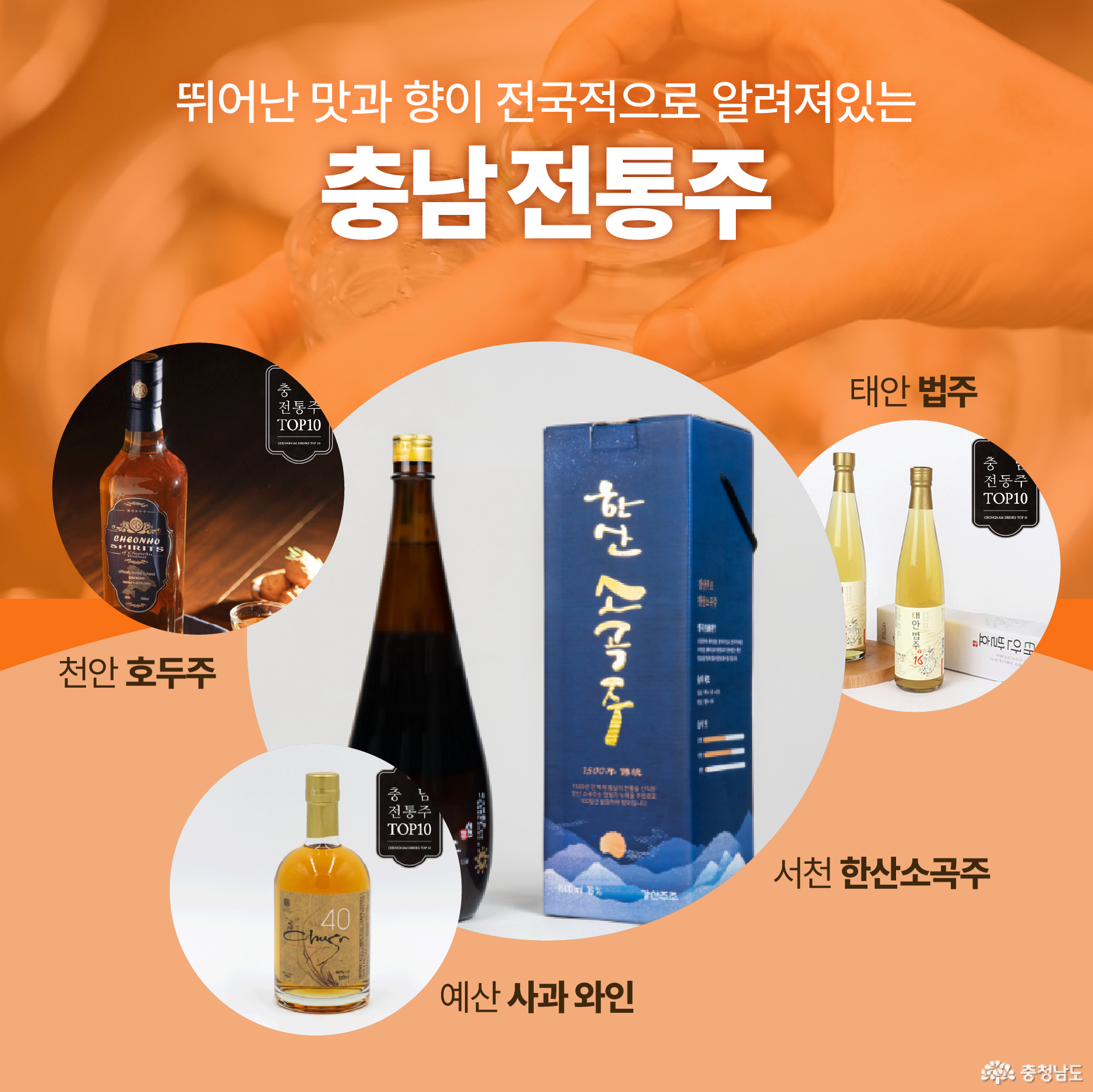 뛰어난 맛과 향이 전국적으로 알려져있는 충남 전통주 / 천안 호두주 / 예산 사과 와인 / 서천 한산소곡주 / 태안 법주