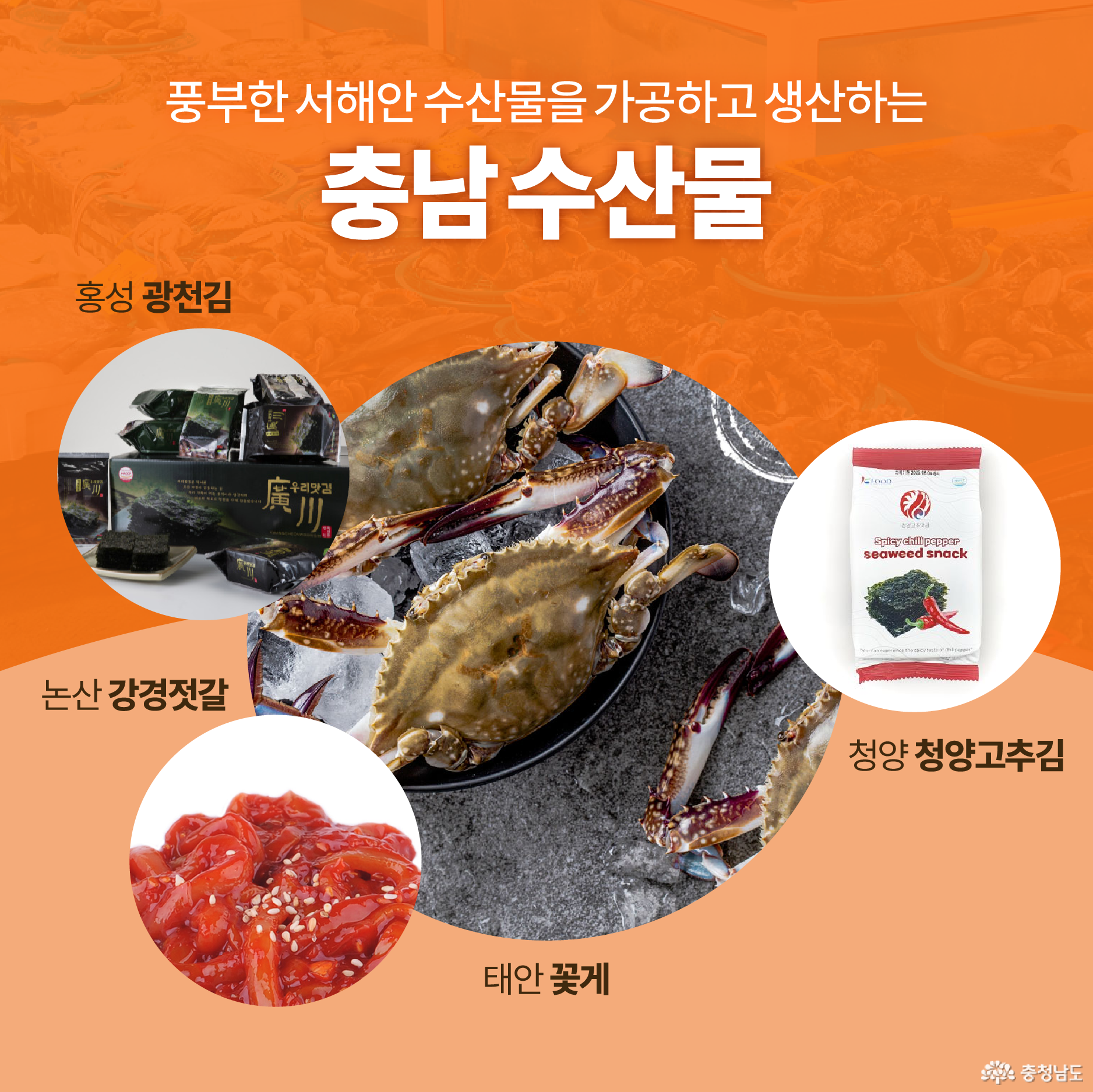 풍부한 서해안 수산물을 가공하고 생산하는 충남 수산물 / 홍성 광천김 / 논산 강경젓갈 / 태안 꽃게 / 청양 청양고추김