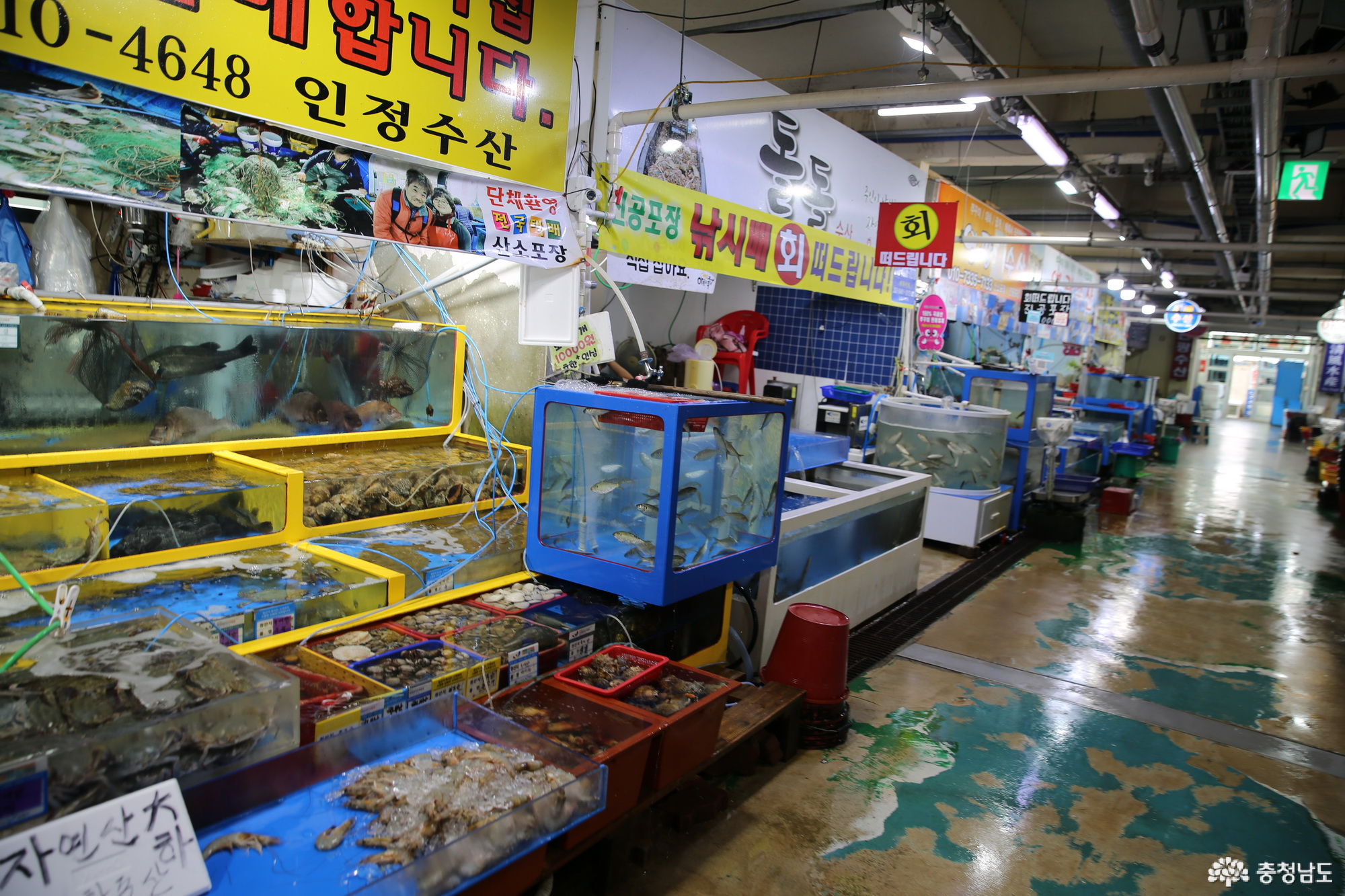 충청남도 누리집(홈페이지)