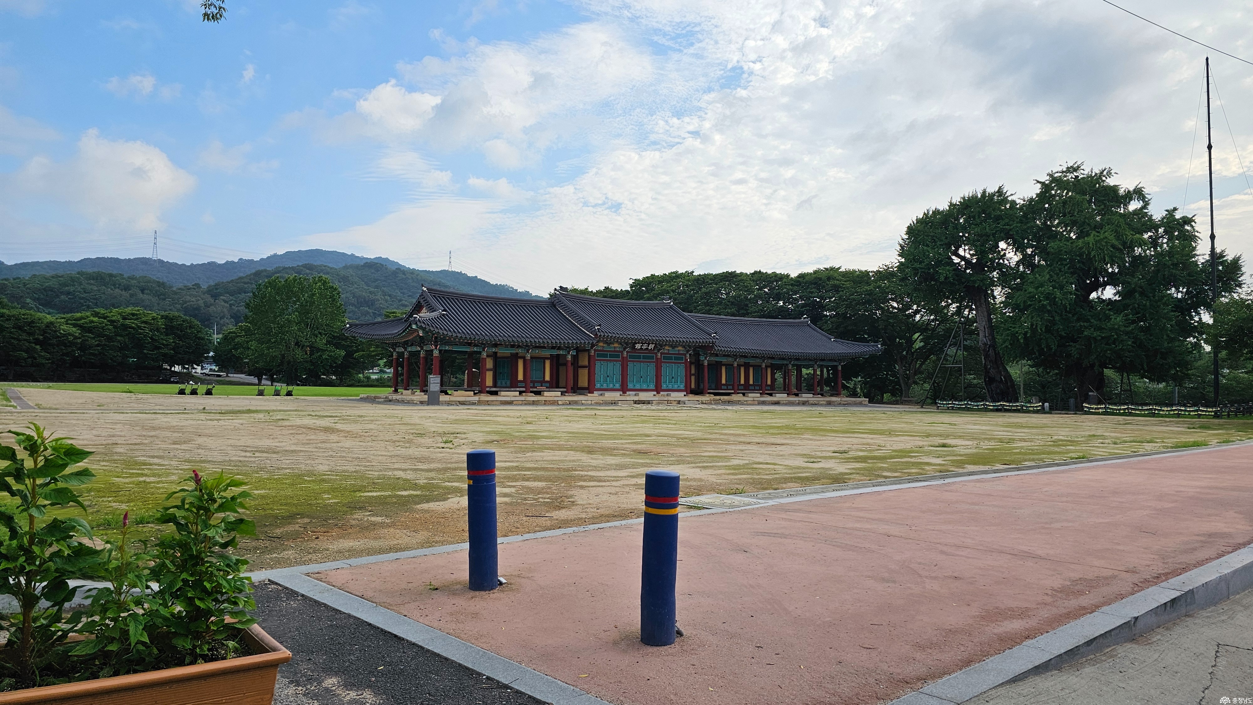 200년 세월 품은 연못, 당진 골정지에 여름이 피다