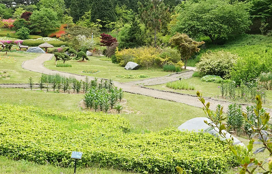 안면도 수목원 사진