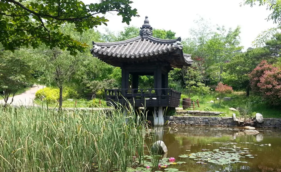 외국수원 사진