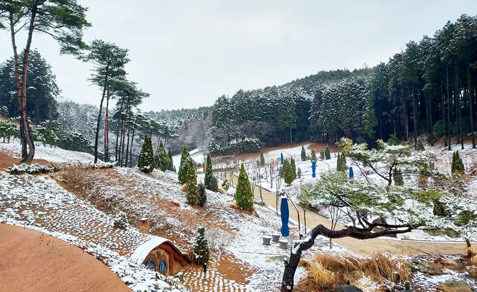 큐브정원 사진